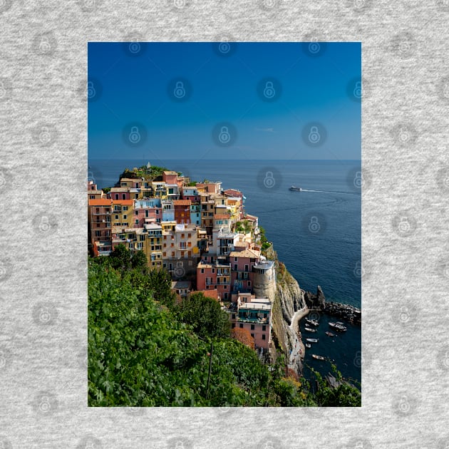 View on the cliff town of Manarola, one of the colorful Cinque Terre on the Italian west coast by Dolfilms